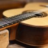 Meckbach-Fichte-DT-2026_FB