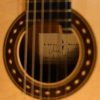 Meckbach-Fichte-DT-2026_label